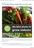 The 16 Best Healthy, Edible Plants to Grow Indoo