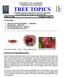 UNIVERSITY OF CALIFORNIA COOPERATIVE EXTENSION TREE TOPICS