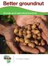 Better groundnut through good agricultural practices