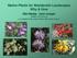 Native Plants for Residential Landscapes Why & How