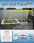 On Our Pond. Floating Islands INSIDE THIS ISSUE. see page 3 for details