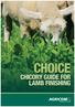 CHOICE CHICORY GUIDE FOR LAMB FINISHING