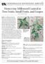 Honeyvine Milkweed Control in Tree Fruits, Small Fruits, and Grapes Joseph G. Masabni, Horticulture