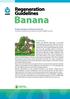Banana. Regeneration Guidelines. Kodjo Tomekpe and Emmanuel Fondi