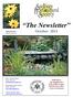 The Newsletter. October Dedicated to the beautification of the Sudbury region and the preservation of our environment