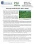 report on PLANT DISEASE ROOT AND CROWN ROTS OF SMALL GRAINS