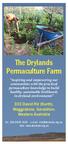 The Drylands Permaculture Farm. 333 David Rd (North), Waggrakine, Geraldton, Western Australia