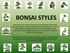 Formal Upright Bonsai Style (Chokkan)