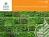 Green Infrastructure Project Guidance