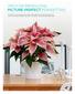 TIPS FOR PRODUCING PICTURE-PERFECT POINSETTIAS