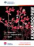 Product: Kangaroo paw Botanical name: Anigozanthos species Cultivar: Big Red. Quality specifications for Australian wildflowers