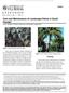 Care and Maintenance of Landscape Palms in South Florida 1 Eva C. Worden, Timothy K. Broschat, and Charles Yurgalevitch 2