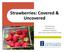 Strawberries: Covered & Uncovered. Presented by: Bronwyn Aly Extension Educator, Local Food Systems/Small Farms
