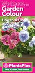 Garden Colour. How to set up a colourful garden...