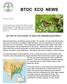 BTOC ECO NEWS BE PART OF THE EFFORT TO SAVE THE MONARCH BUTTERFLY
