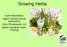 Cyndi Wyskiewicz Agent- Environmental Horticulture City of Portsmouth, VA Master Gardener Intern Training. Growing Herbs