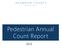 Pedestrian Annual Count Report
