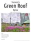 Green Roof. Toronto's. Bylaw. A Water Governance Assessment. Authors: Karmen van Dyck: Guillaume Cardon: Jonas Bunsen: