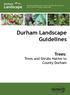 Durham Landscape Guidelines
