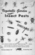 Insect Pests. 0 z 3e1. Extension Bulletin Revised May v_ectii