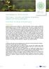 Mini-paper - Success and failures of grafting against soil-borne pathogens