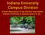 Indiana University Campus Division. A brief description of the Division that makes Indiana University a beautiful place to be