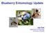 Blueberry Entomology Update. Ash Sial Department of Entomology University of Georgia