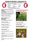The Batemans Bay Orchid & Foliage Society Inc. JUNE NEWSLETTER Next Club Meeting 7.30pm Monday 3 RD JUNE 2013