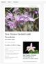 New Mexico Orchid Guild Newsletter