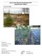 Grave Creek Riparian Revegetation 2011 Implementation Report