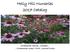 Holly Hill Nurseries 2017 Catalog. Ornamental Shrubs Conifers Ornamental Grass Fruit Ground Covers