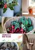 GARDENING GIFTS AT WHAT YOU SOW