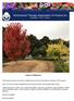 Horticultural Therapy Association of Victoria Inc Newsletter 2017 Autumn