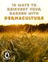 Practical Ways to Start Following Permaculture Principles in Your Garden