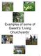 Examples of some of Gwent s Living Churchyards