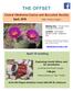 THE OFFSET. Central Oklahoma Cactus and Succulent Society. April 19 meeting. April, Exploring South Africa and its succulents.