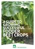 A GUIDE TO GROWING SUCCESSFUL FODDER BEET CROPS