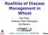 Realities of Disease Management in Wheat. Paul Esker Extension Plant Pathologist UW Madison