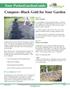 Compost--Black Gold for Your Garden