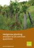 Hedgerow planting: answers to 18 common questions