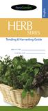 Tending & Harvesting Guide