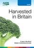 GUIDE. Harvested in Britain. A year in the life of Britain s horticultural harvest