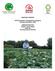 CONTRACT REPORT. POTATO BLIGHT (Phytophthora infestans) field demonstrations, 2004
