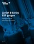 Zenith E-Series ESP gauges
