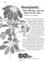 Houseplants: Their Selection, Care and Impact on Our Lives Ron Smith and Barb Laschkewitsch