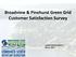 Broadview & Pinehurst Green Grid Customer Satisfaction Survey. CLEINT REVIEW DRAFT May 6, 2011