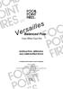 Versailles. Balanced Flue. Coal Effect Gas Fire INSTALLATION, SERVICING AND USER INSTRUCTIONS