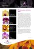 Newsletter. Phalaenopsis cultivation. hints. The orchid professionals since Phalaenopsis. cultivation hints. Miltonia. 3 stagnation.