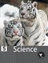Science 5. Piyush Ganeshiya HOLY FAITH INTERNATIONAL (P) LTD. M.Sc. Chemistry, B.Ed. PGT (DPS Sonepat)