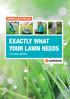 EXACTLY WHAT YOUR LAWN NEEDS Live your garden.